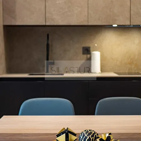 Ezcurdia Elite 1b By Silastur Διαμέρισμα Χιχόν