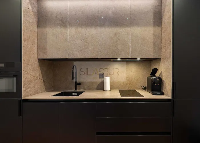 Ezcurdia Elite 1b By Silastur Appartement Gijón